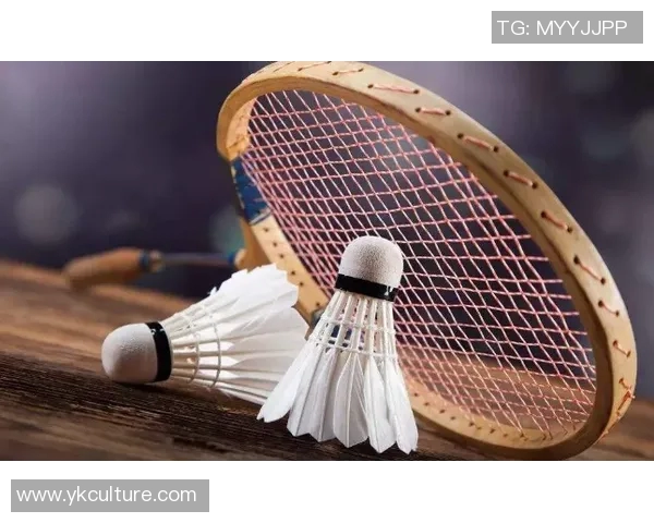 成都羽毛球队与深圳羽毛球队赛后复盘分析意识与战术的较量 成都羽毛球队与深圳羽毛球队赛后复盘分析意识与战术的较量