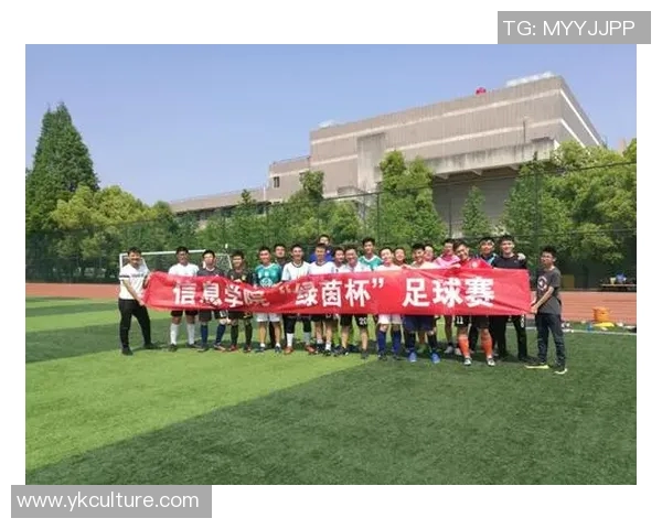 成都足球队杯赛中的团队协作表现分析与评价探讨