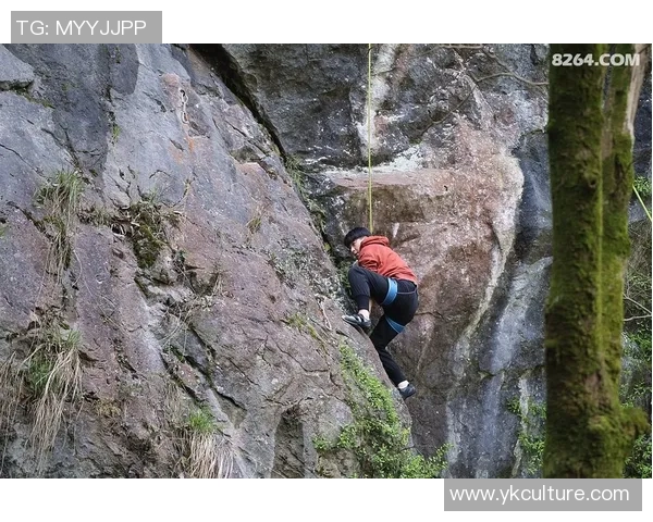 杭州攀岩队整体压制体系的战术分析与实战应用探讨