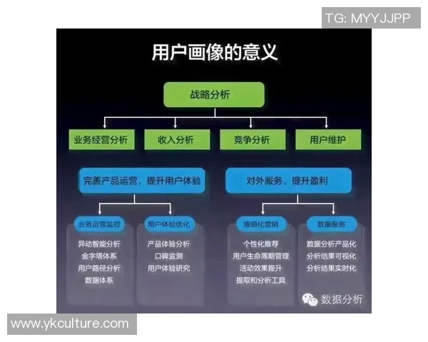 深圳极限运动队的区域防守策略揭秘与深度分析