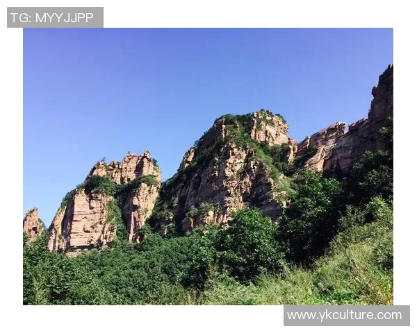 深度对话吴强谈DOTA2人生与职业生涯的起伏与挑战