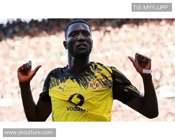 多特蒙德球迷暴力事件引发欧冠禁赛与重罚50万欧元的严厉惩罚