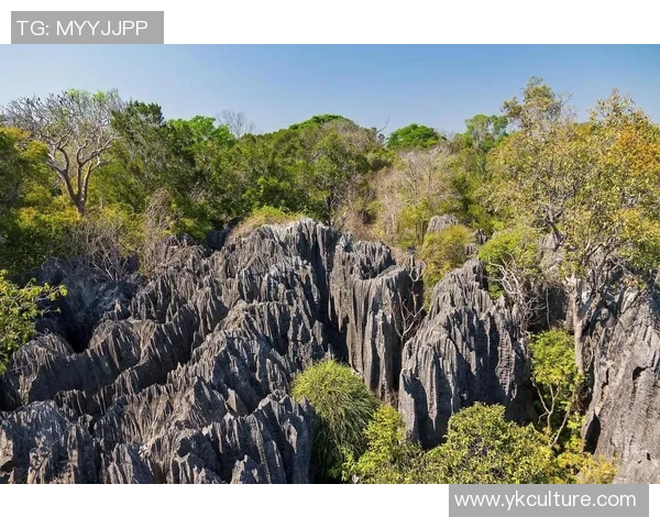 探索阿拉巴的历史文化与自然风光之美，感受独特的地方魅力与人文气息