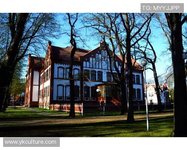 芬兰与爱沙尼亚历史渊源探讨及两国关系演变分析